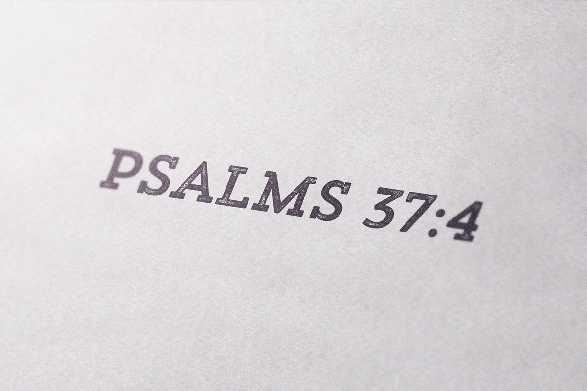 The Wait Adored Boutique Grand Rapids Ethical Women's Clothing